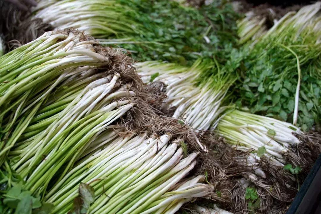 年味|带上小拖车跟我走!这里买年货实惠好吃