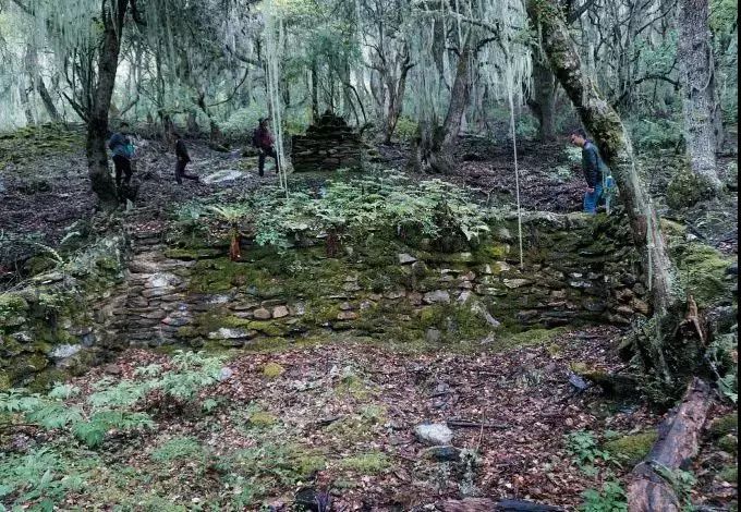有一种风情叫江南烟雨,波密塞外江南