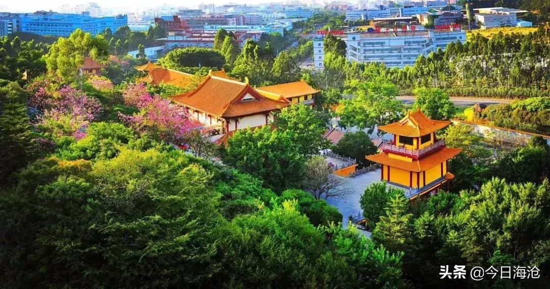 酒店团购厦门嵩屿码头,海沧嵩屿码头附近酒店