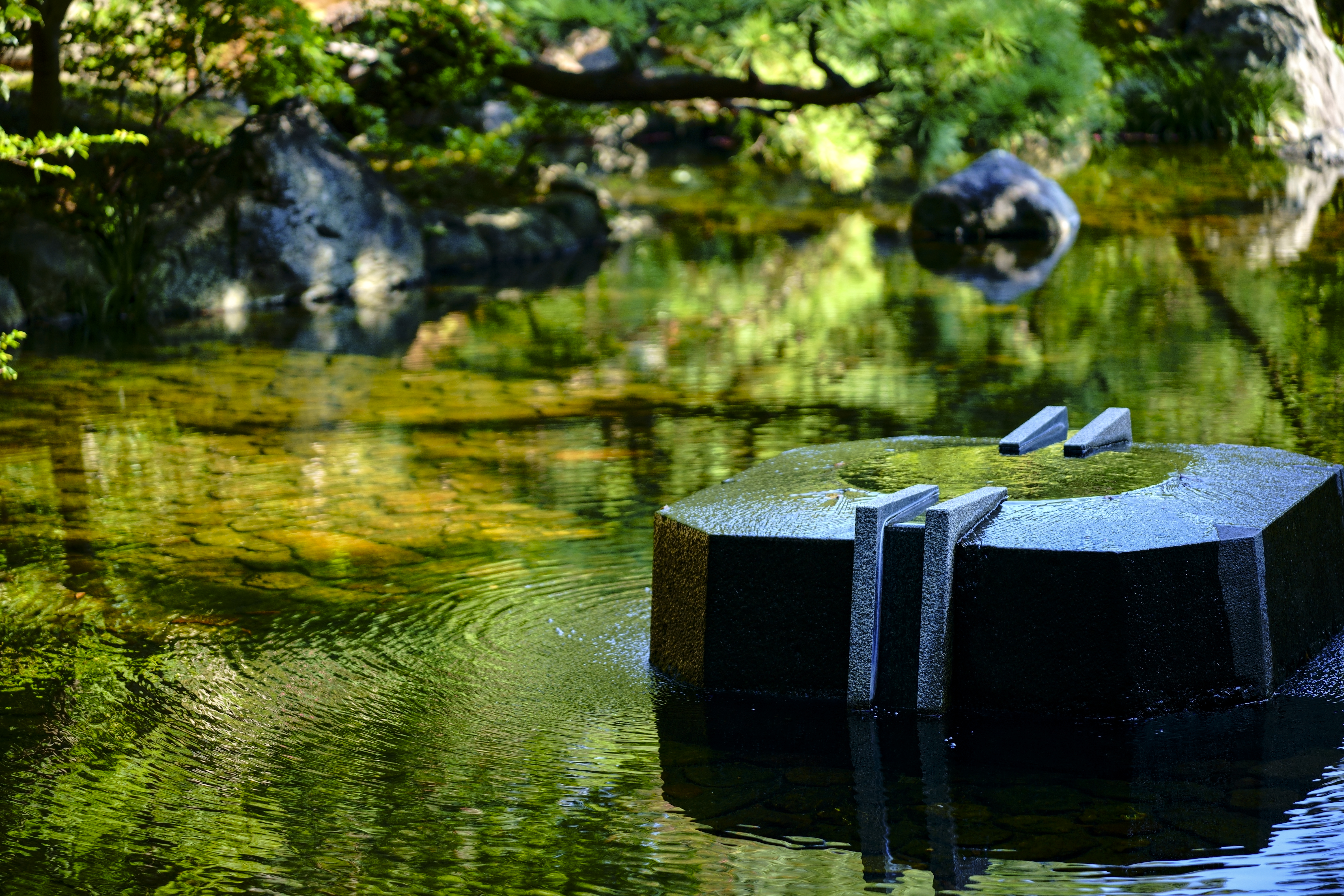 适马90f2.8和索尼90微距对比,适马20mm1.8广角镜头评测