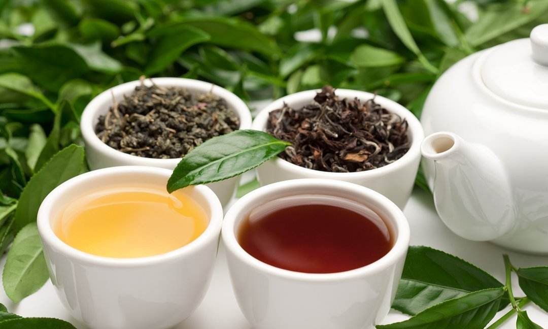 大红袍与铁观音区别有哪些,大红袍茶叶与铁观音对比