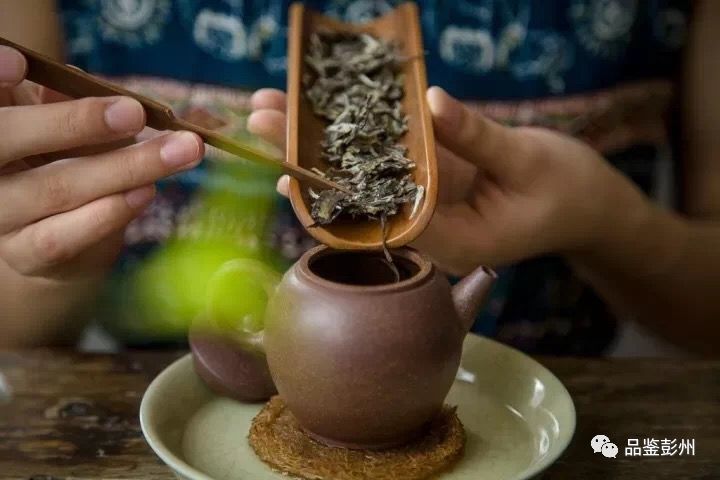 彭彭运气,彭彭2019年作品