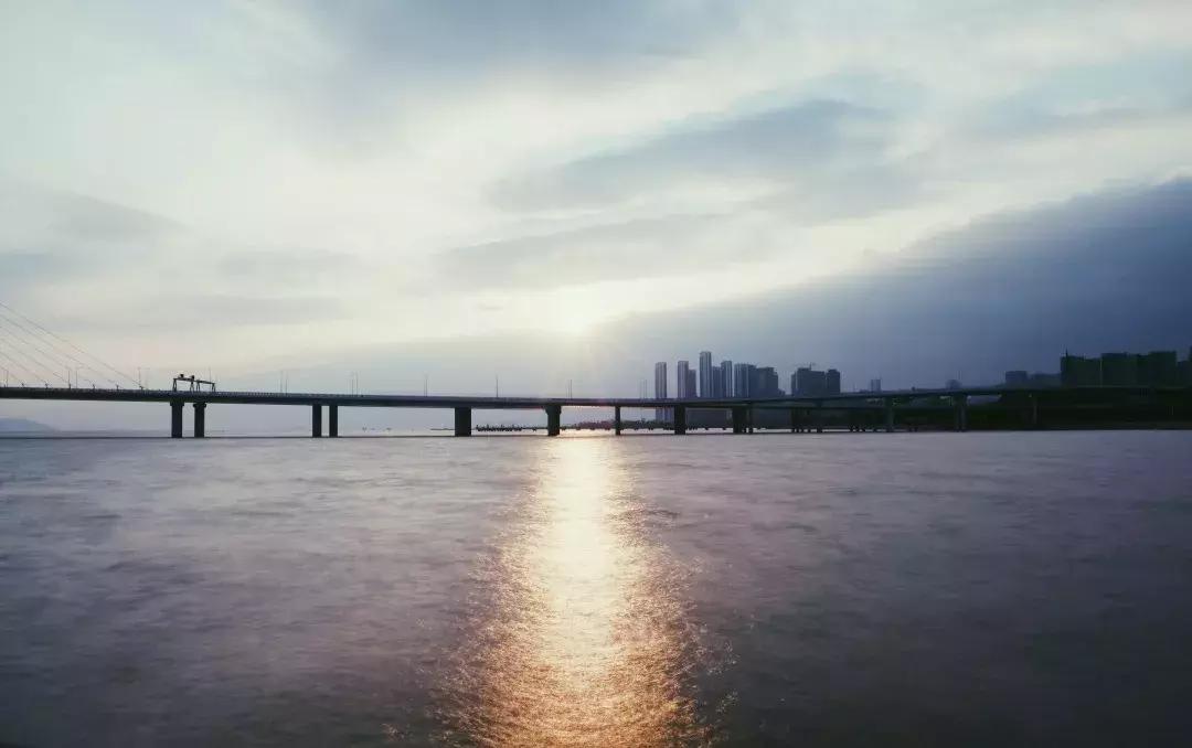 深圳湾公园这里有什么好吃的,深圳湾在哪里