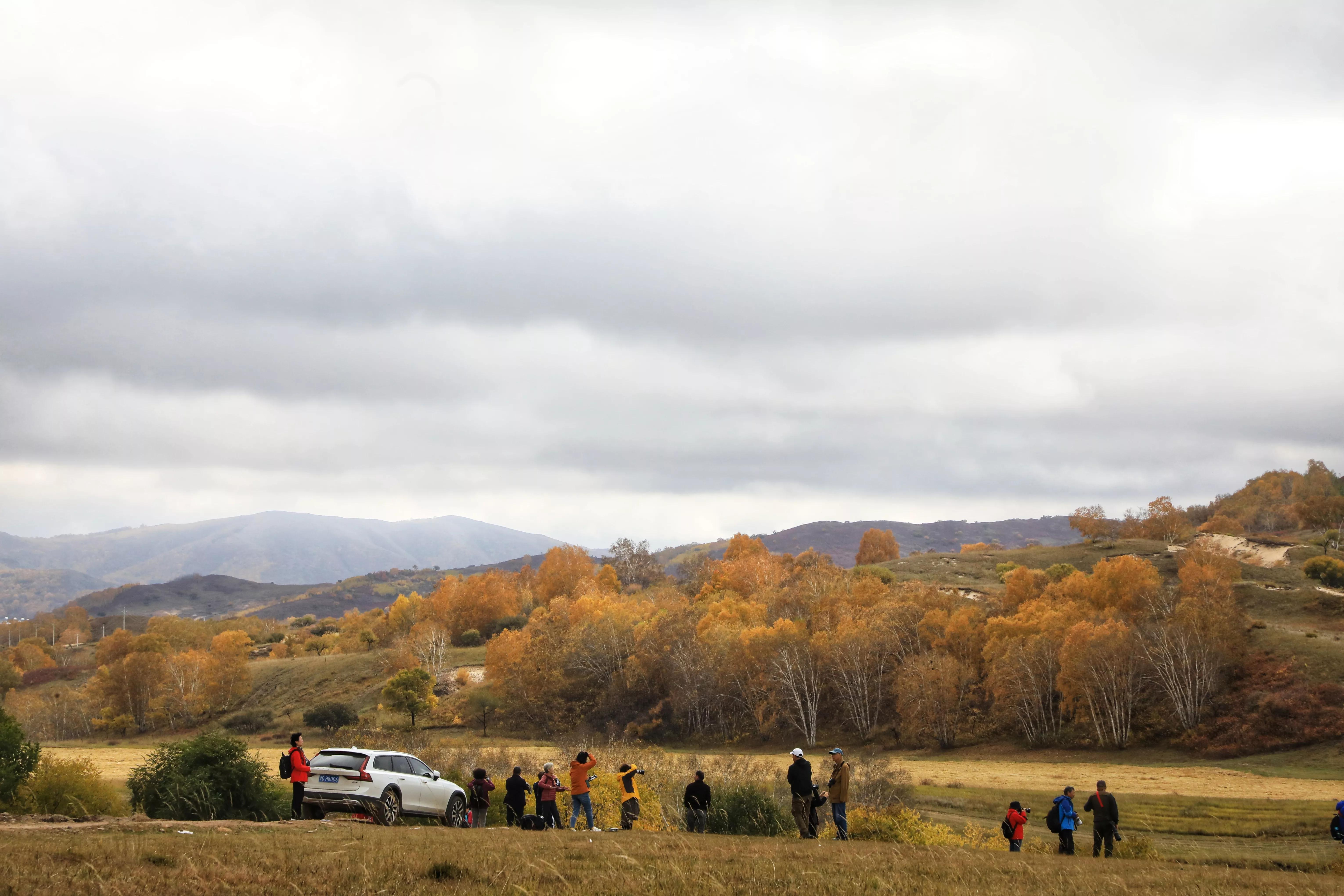坝上秋色草原,坝上草原游记作文