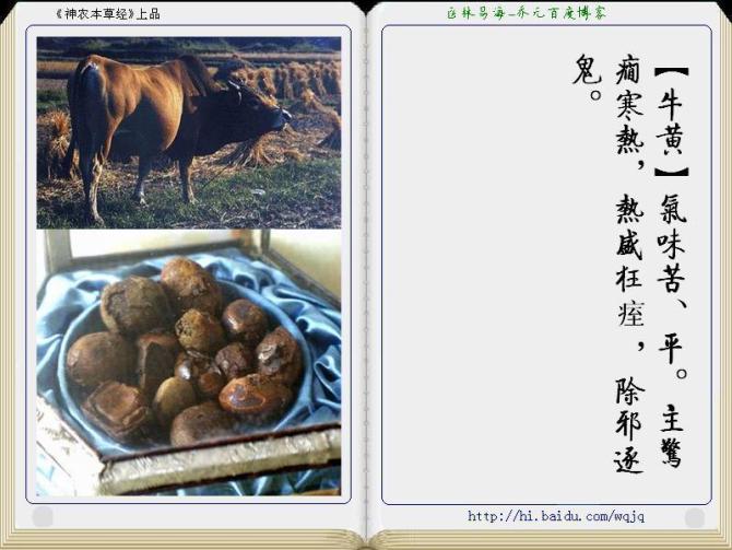 本草纲目中药讲解视频,本草纲目中药图谱及药理讲解