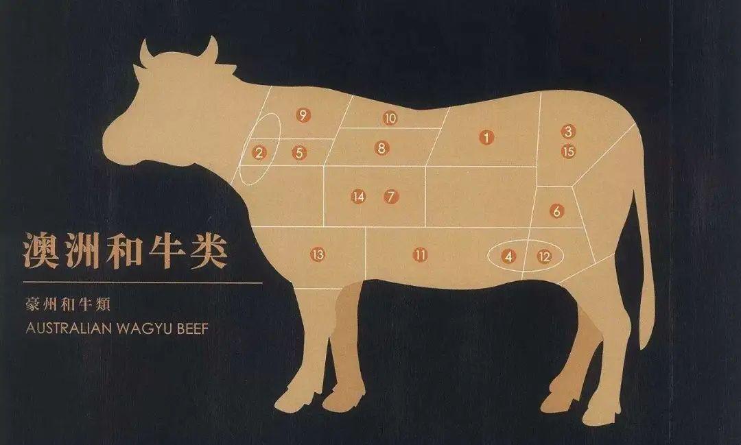 肯德基双层嫩牛堡和巨无霸,肯德基双层嫩牛堡和厚牛堡哪个好