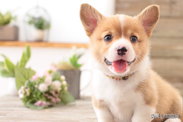 中国最具潜力的暴利小生意,十大冷门暴利小生意排行榜