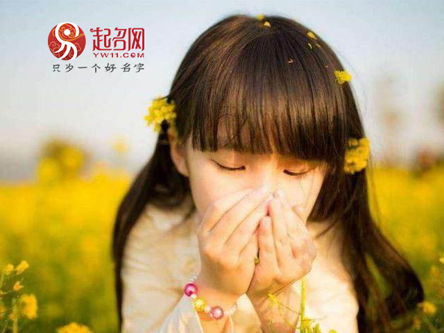 优雅知性的成语,适合龙凤胎的成语名字大全