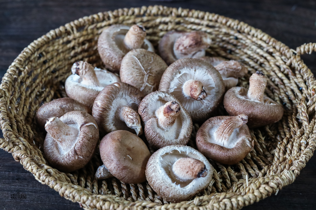 洗白色香菇的正确方法,清水洗香菇