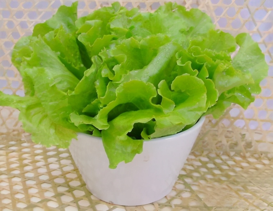 吃出来的大肠寄生虫，只因做错1件事，医生说生菜要冲洗干净