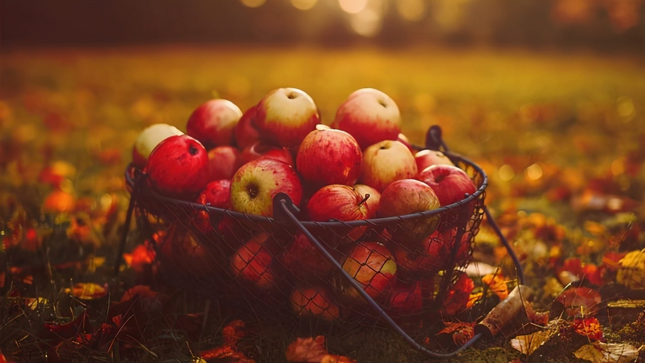 不搬弄是非的人,性格很坦荡不愿意耍手段的星座