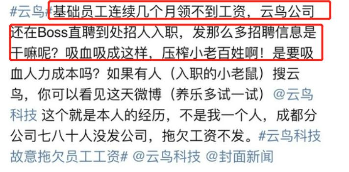 云鸟科技陷破产纠纷,云鸟物流跑路了