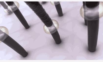 泰国生姜洗发水防脱发,泰国防脱发生姜洗发水