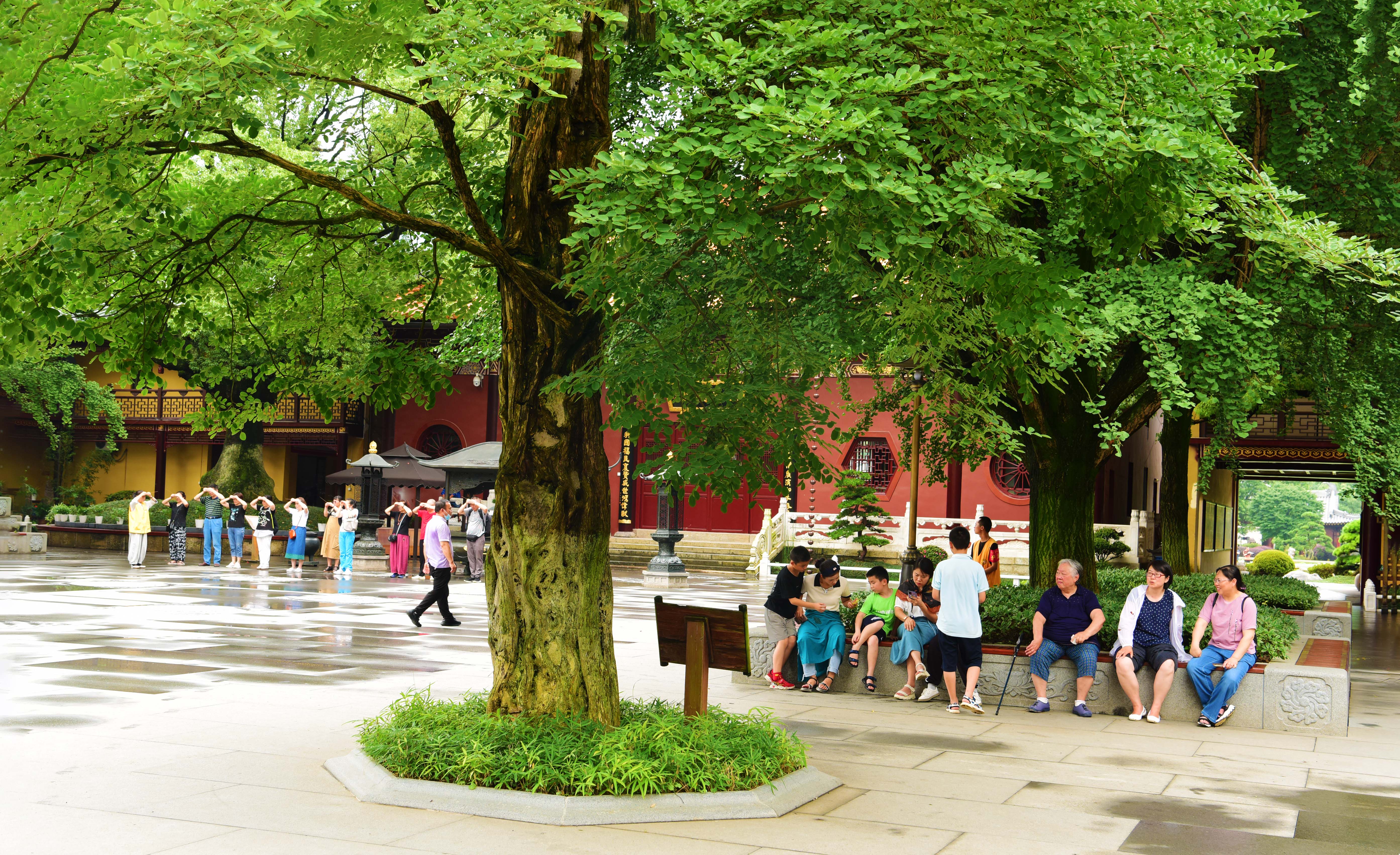 庐山东林寺，这座1600余年古刹，是中国一大佛门圣地，神奇惊叹