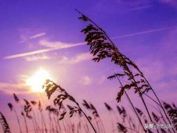 发快手文案伤感的句子加图片,快手伤感的句子心情说说