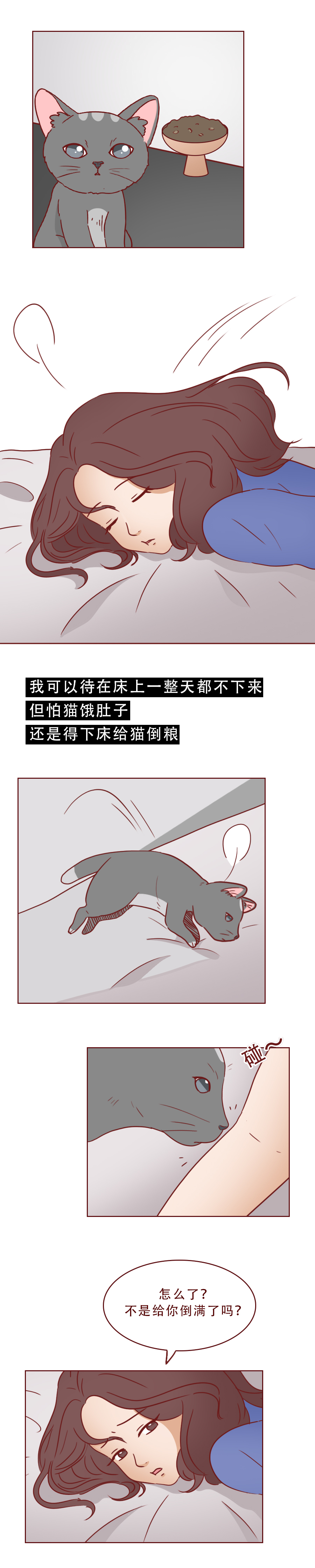 捡了一只猫好像抑郁了怎么办,一只抑郁症猫咪被救赎的故事