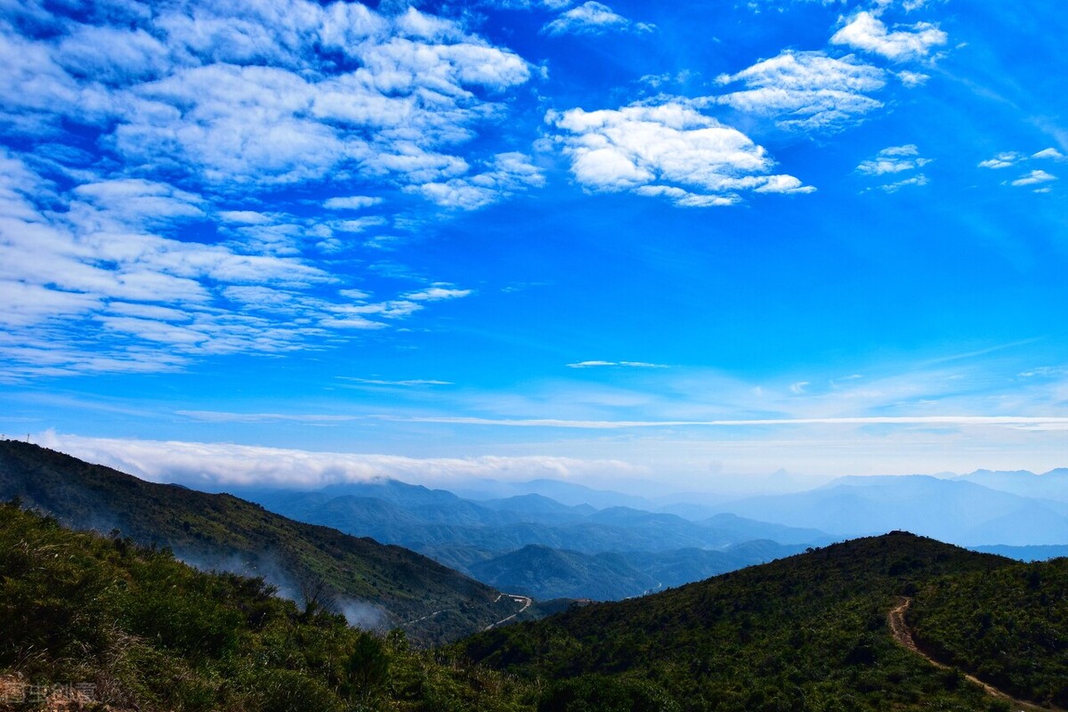 广东丰顺县卫健局刘文勇,广东丰顺县汤坑镇