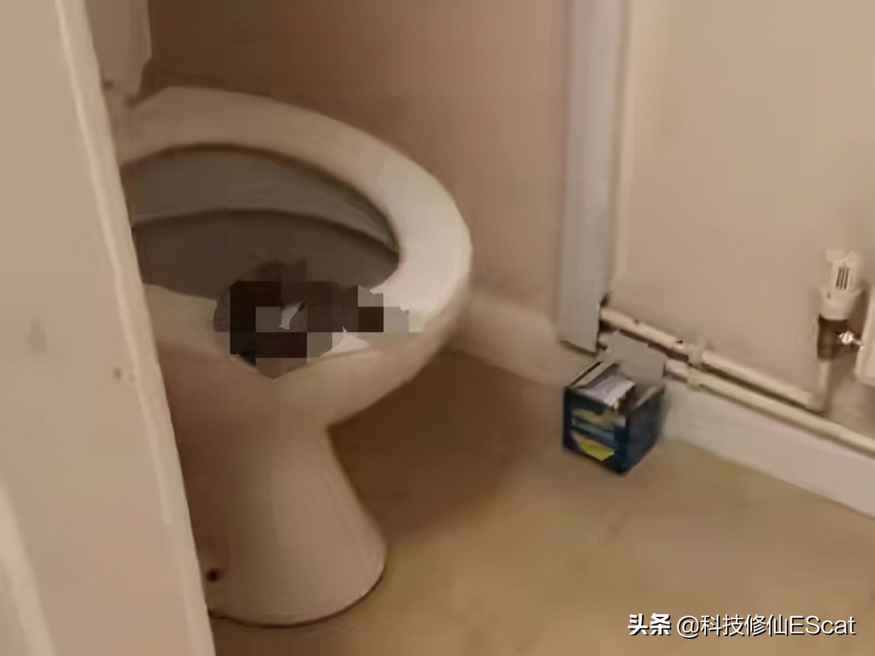 两条毒蛇互相咬会怎么样,两条毒蛇互相咬会毒死吗