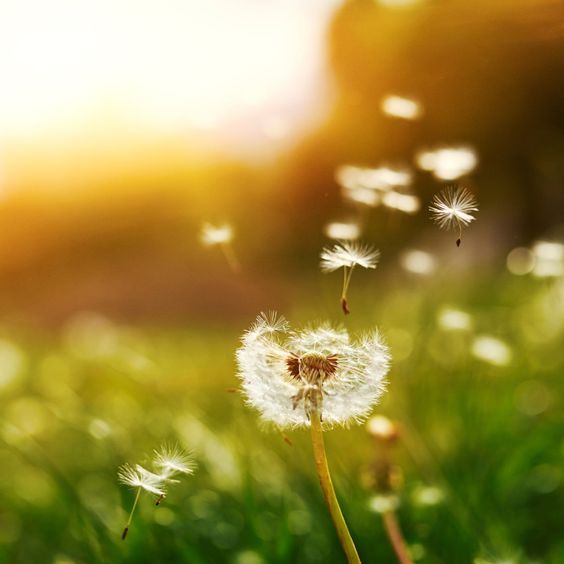 摄影师怎么拍出自己风格,摄影师怎么拍摄中国风