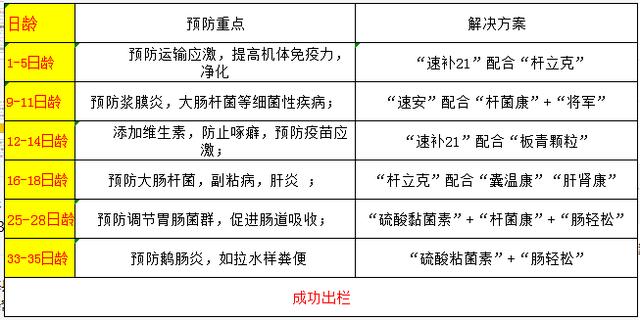 养鸡鸭鹅怎么才能赚钱,三只鸭子一只鹅卖100元怎么挣利润