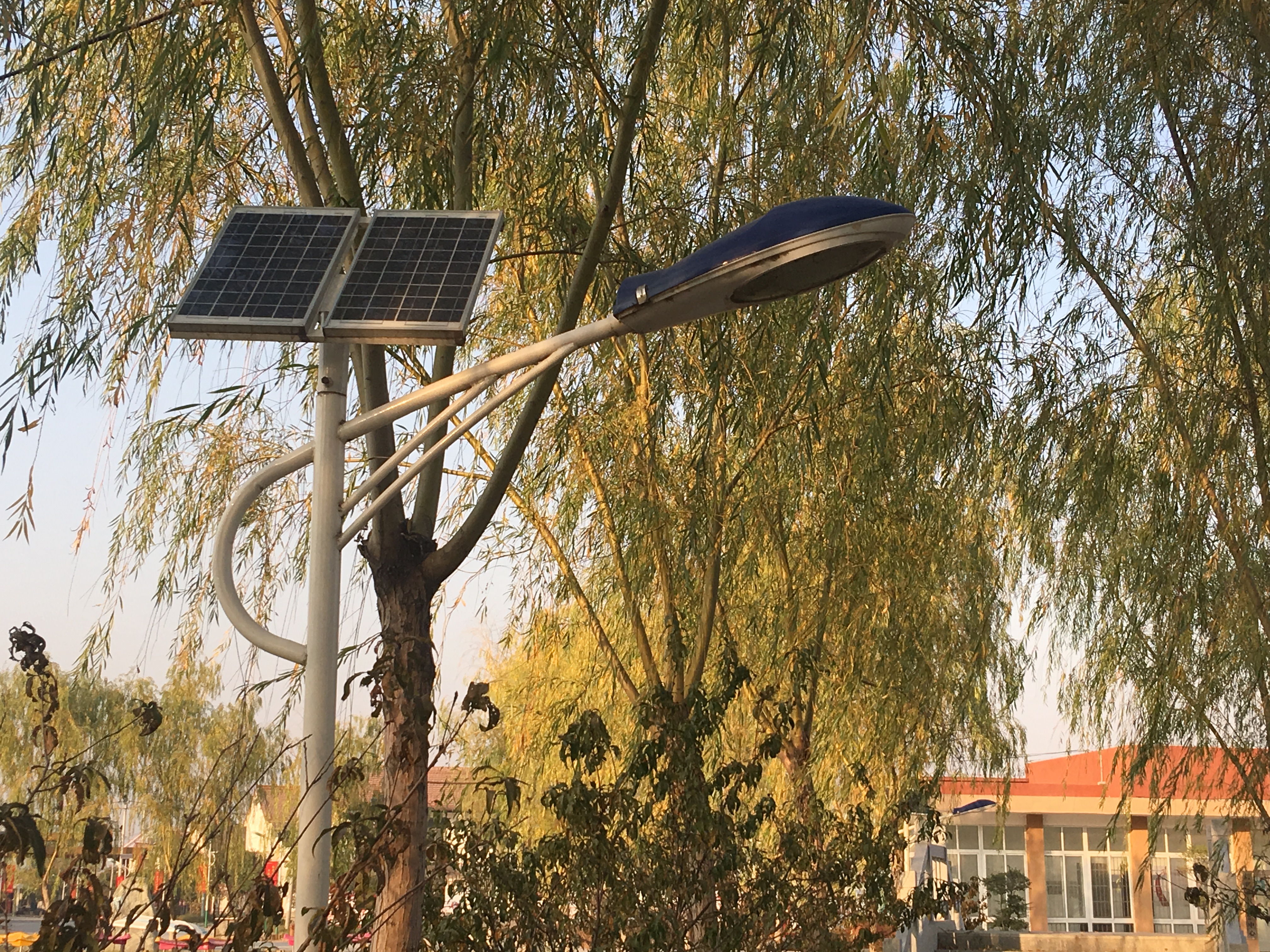 农村小伙靠这门手艺两年买房,河南制香第一村