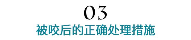 被狗咬狂犬病去世,被狗咬好几年没事还会得狂犬病吗