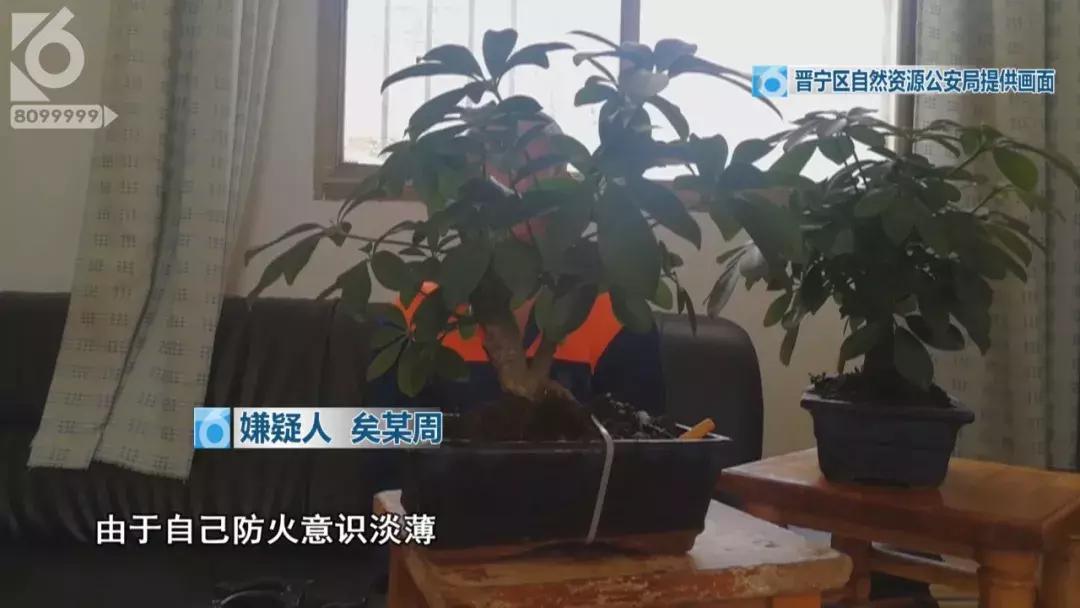 一不小心，他放火把山烧着了