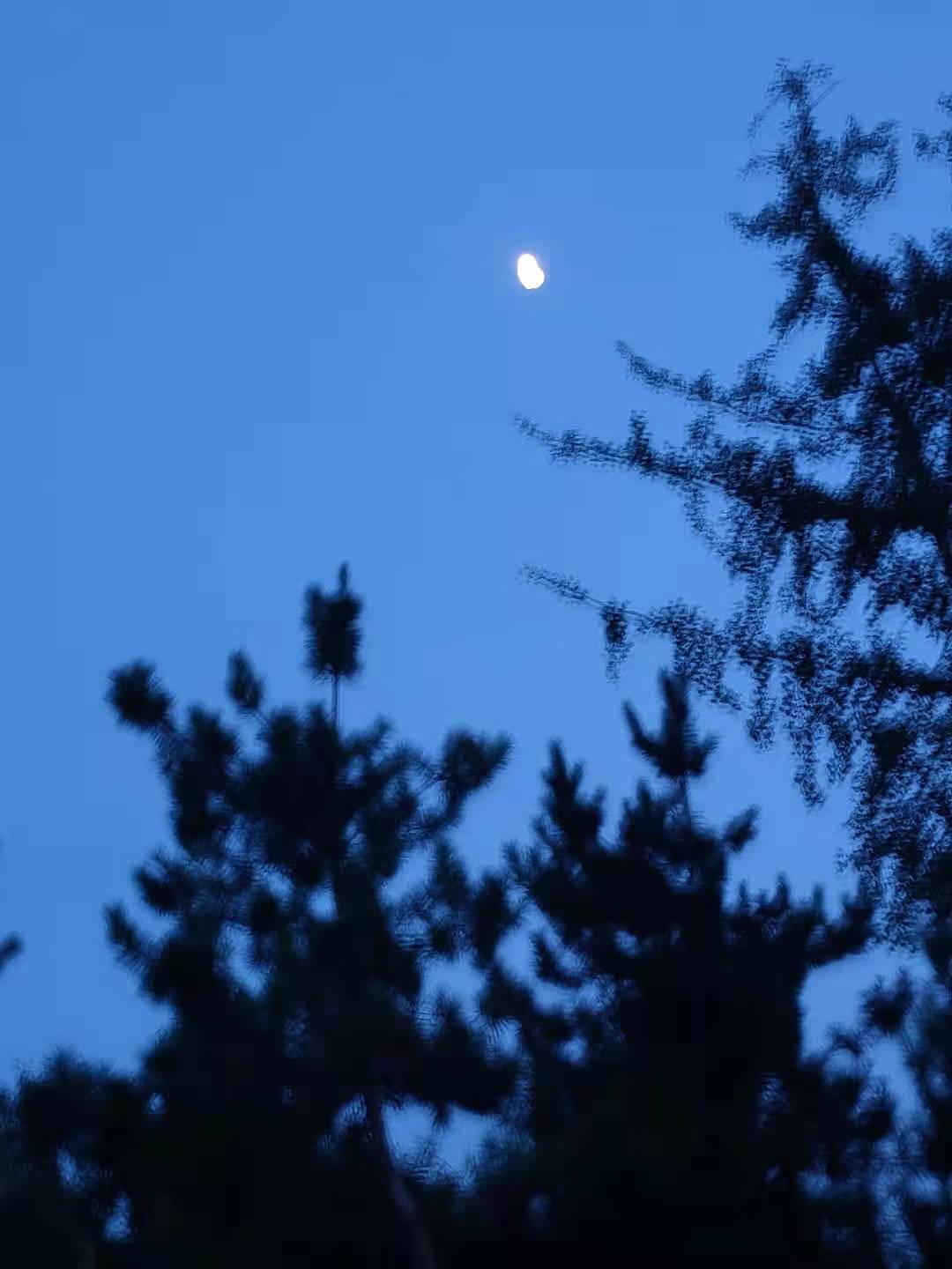 秋风也悄然而至,秋风将至之时