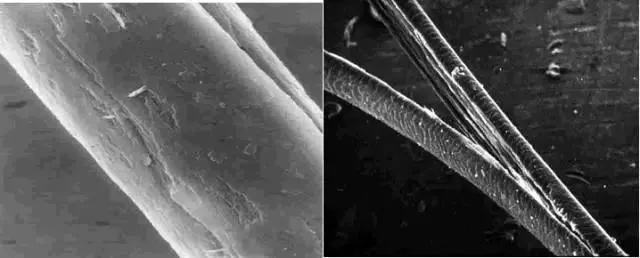 头发分叉断裂什么原因,头发干枯分叉怎么修复