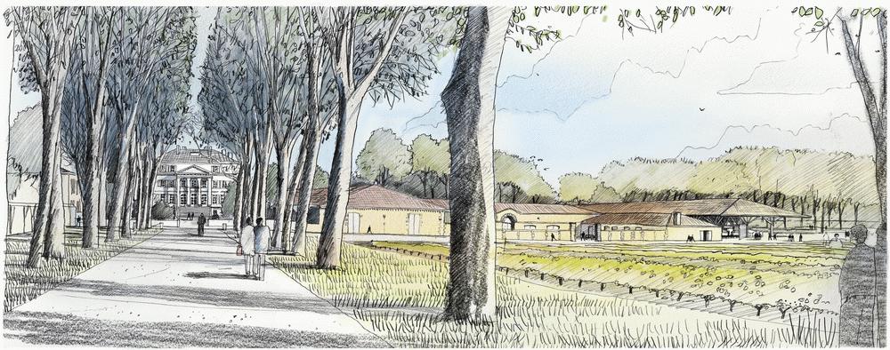 玛歌酒庄变化,玛歌酒庄城堡内部