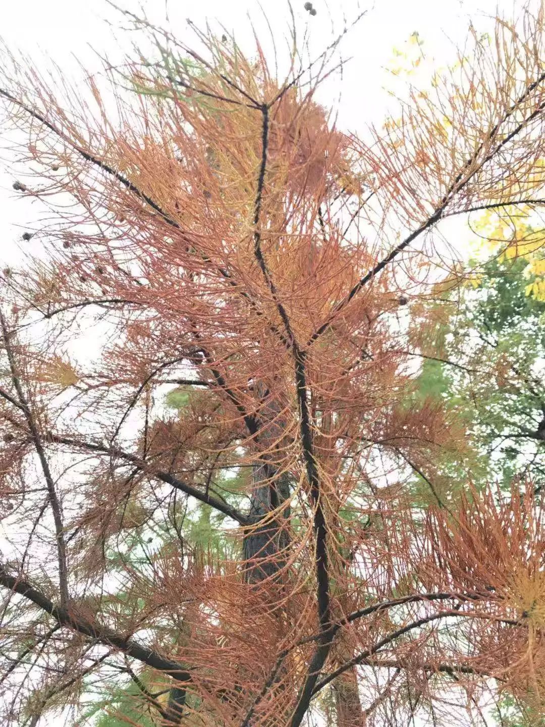 用过最好用的干皮粉底液,最好用的几款粉底液