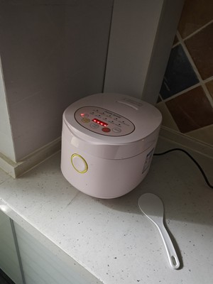 独居做饭电饭煲推荐,一人份米饭电饭煲推荐