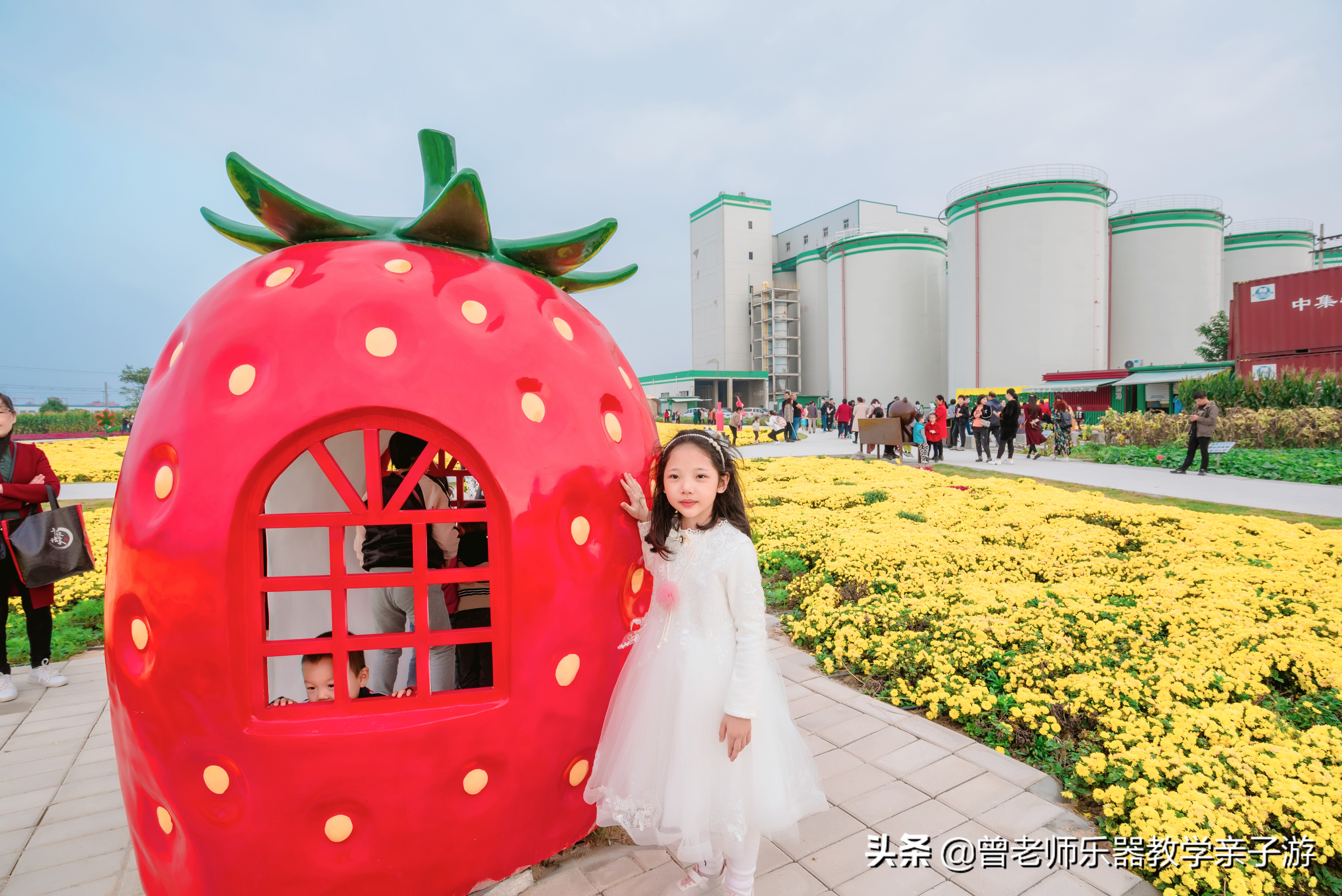 爱菊研学游,爱菊丝路文化菊花园西安