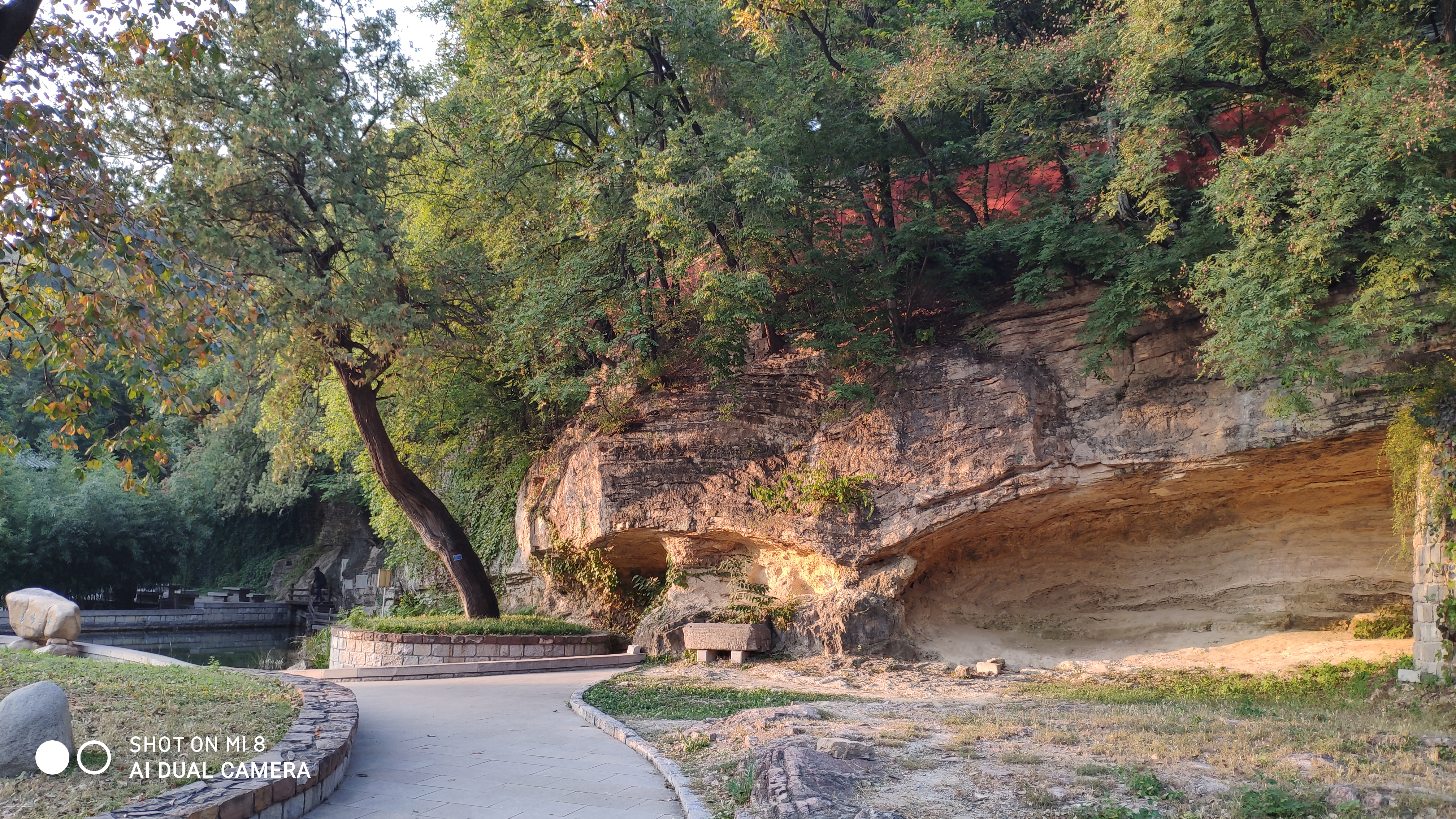 去济南灵岩寺什么必看,济南灵岩寺神树