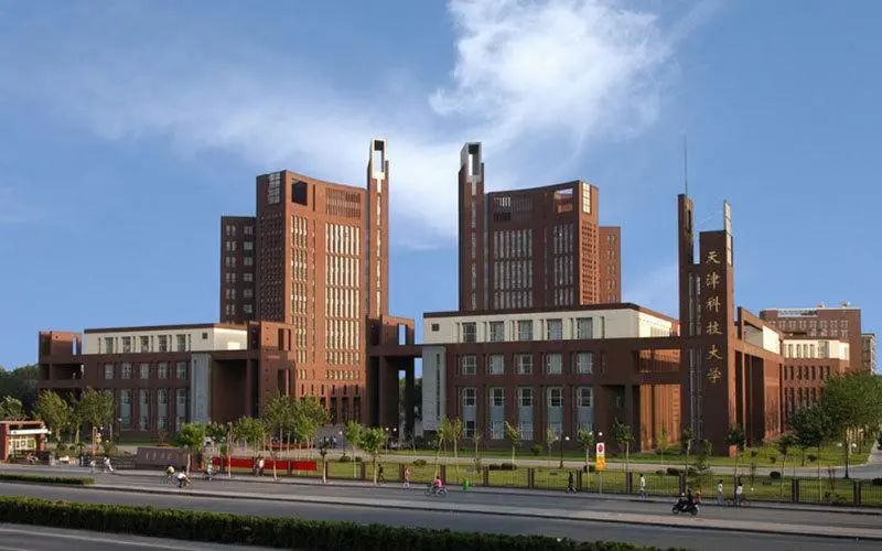 天津基建,天津大基建