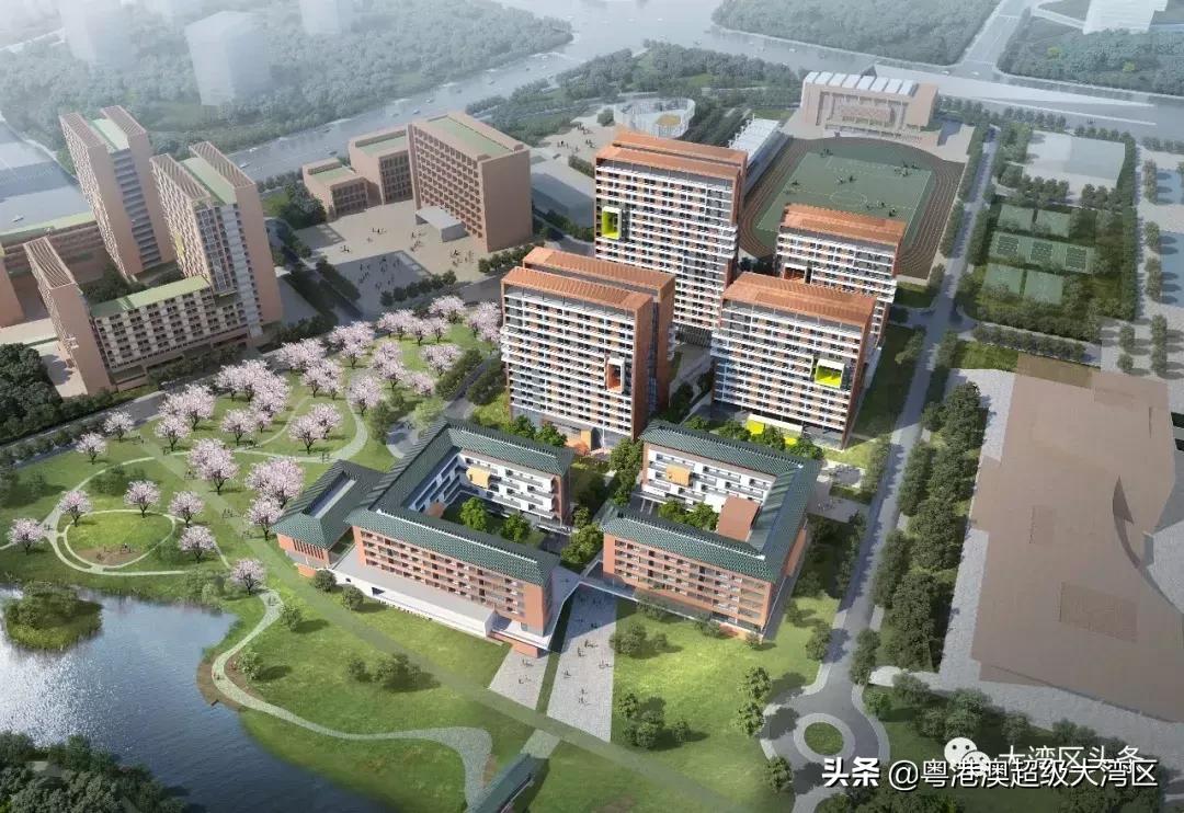 粤港澳大湾区大学生机遇与挑战,粤港澳大湾区热门专业