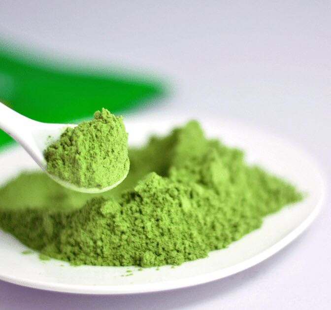 青汁到底好不好的视频,青汁为什么很火