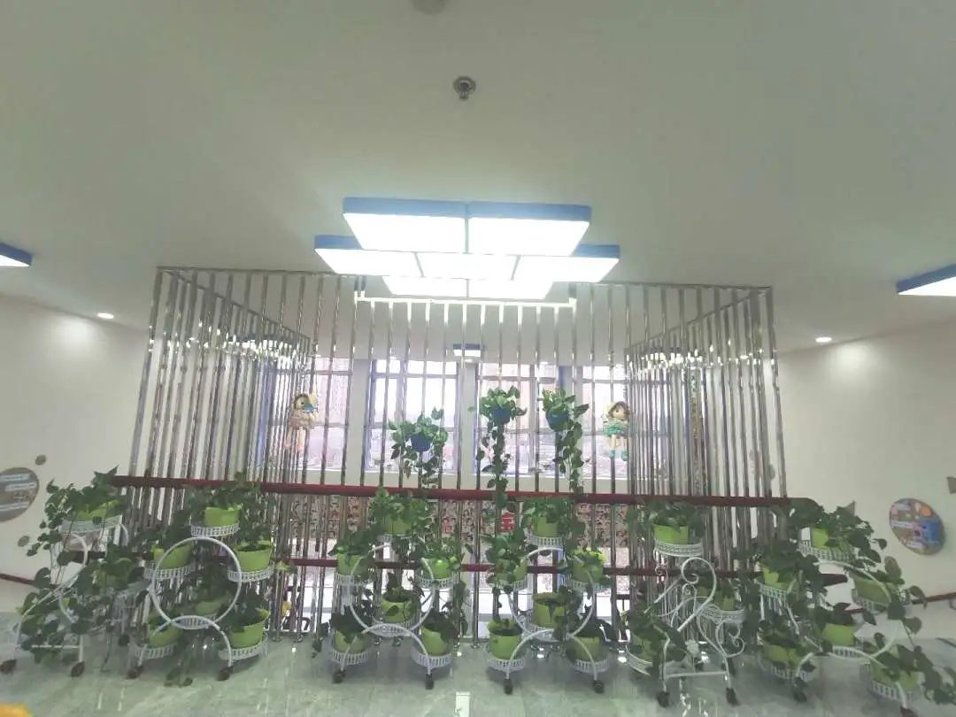 「长拖资讯」初夏绽放——老师把幼儿园的夏天和思念“打包”给你