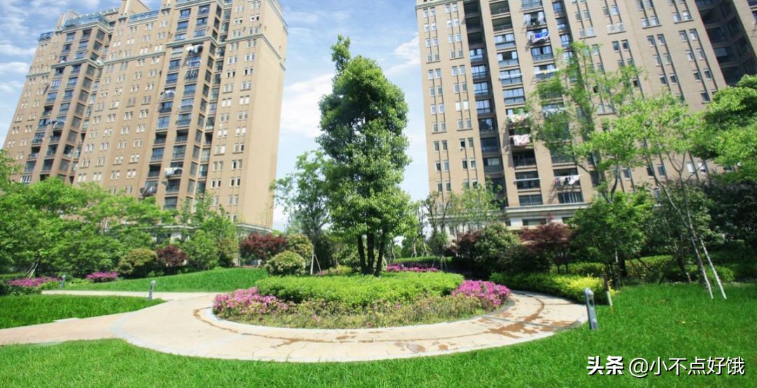 苏州511新政满月调查，真实的市场表现是这样的.....