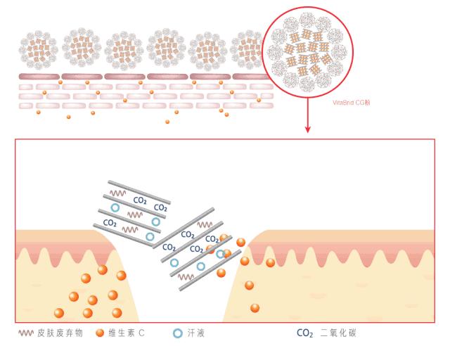 王子文拍照姿势,王子文惊艳泼辣写真
