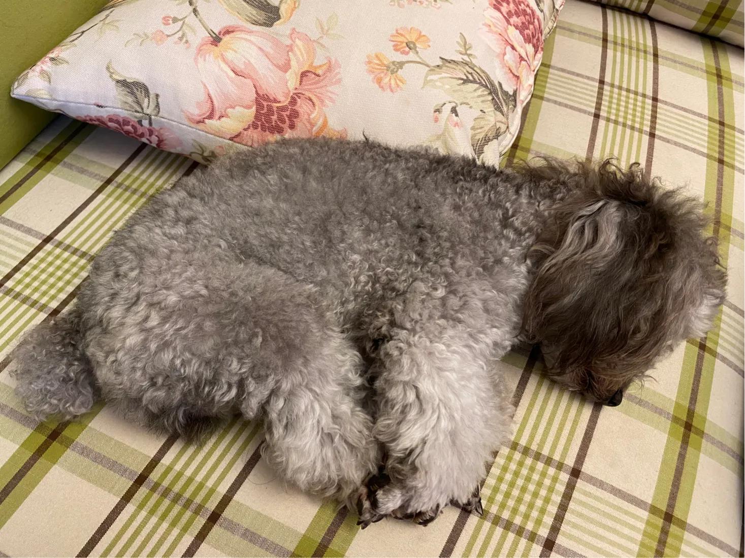 宝马x5缺点和优点,新款x5的缺点及差评