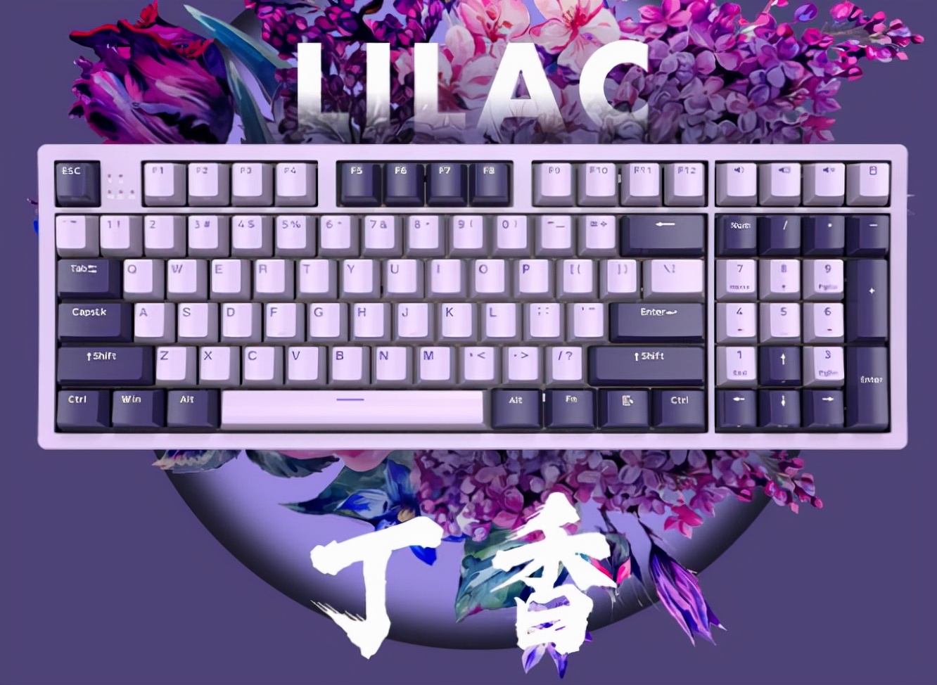 寻找最适合你的键盘61、84、87、98双十一各配列机械键盘选购指南