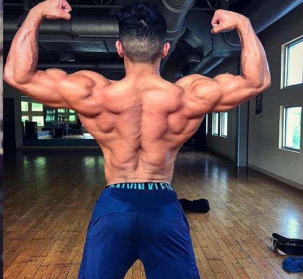 针对背部肌群的训练动作,背阔肌最佳背部训练动作