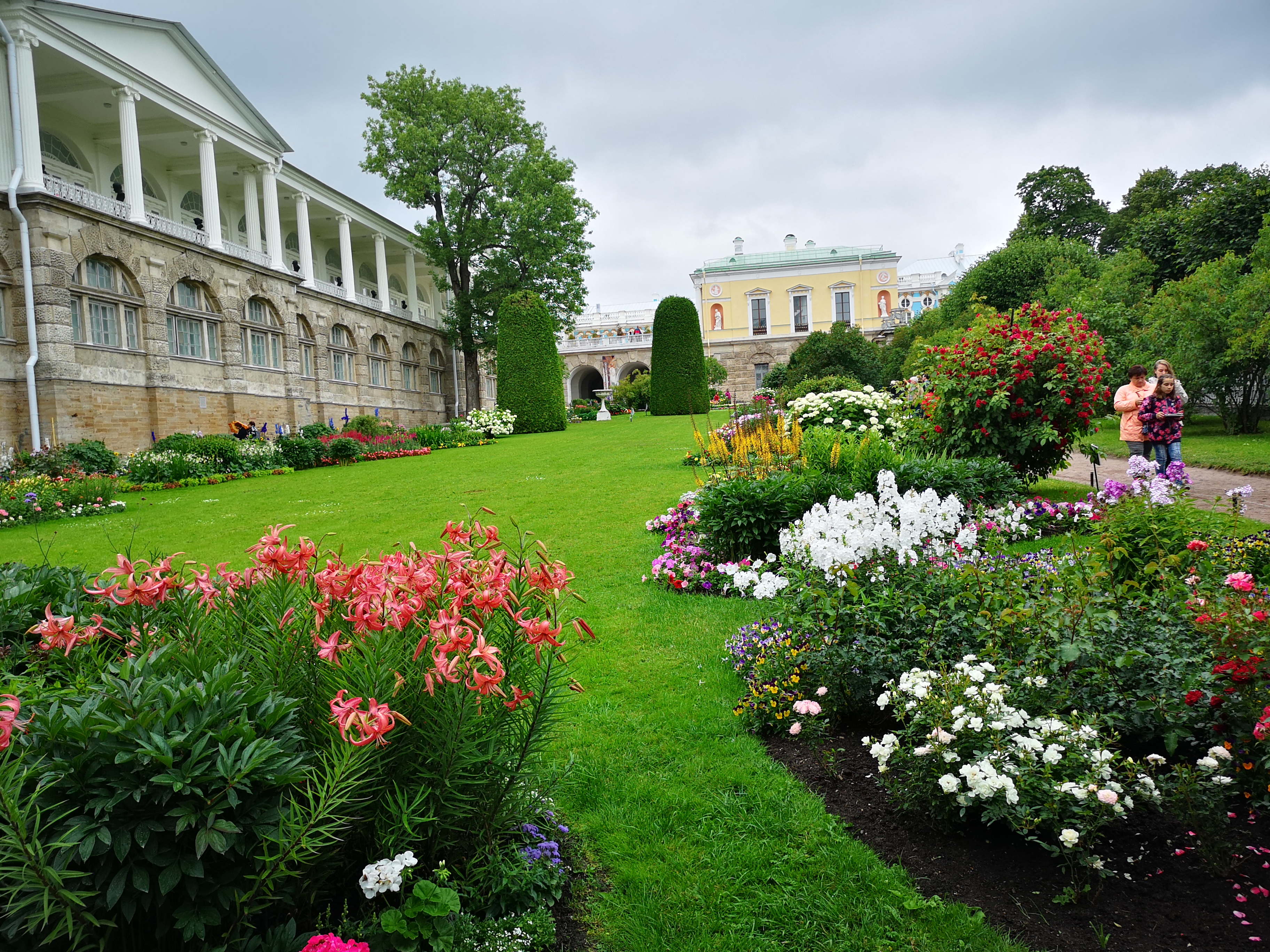 鑾柉绉戝湥褰煎緱鍫¤嚜鐢辫,鍦ｅ郊寰楀牎淇勭綏鏂嚜鐢辫