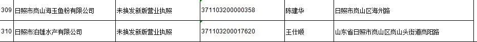 日照岚山市场监督管理,市场监管责令停产停业处罚决定