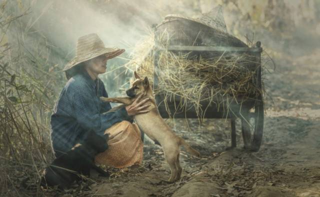 最佳小说：我有一个穷亲戚