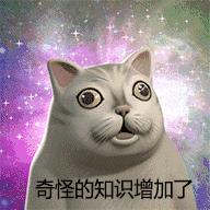 每个人身上都有毛毛表示什么意思,每个人身上都有毛毛怎么办