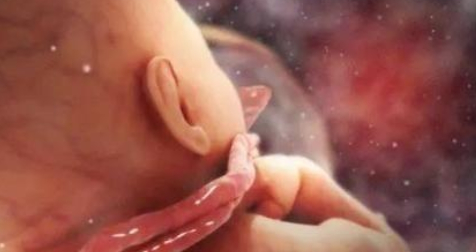 孕晚期,这些迹象说明进入胎儿的“猛涨期”,孕妈们要注意