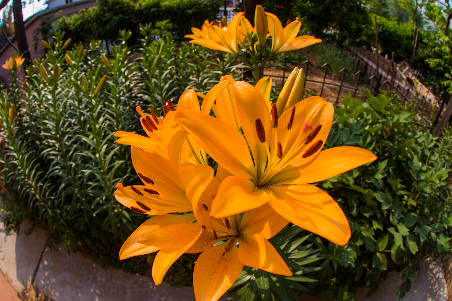 佳能eos77d单反相机机身,佳能eos77d对比苹果手机