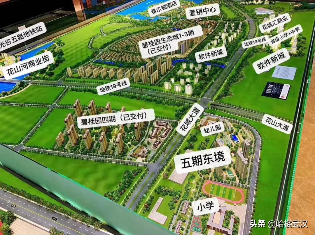 光谷东王放风价,放风价9800元以下的楼盘